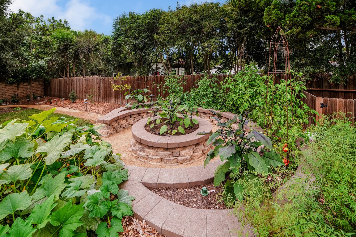 Choosing Plants That Thrive With Less Attention
